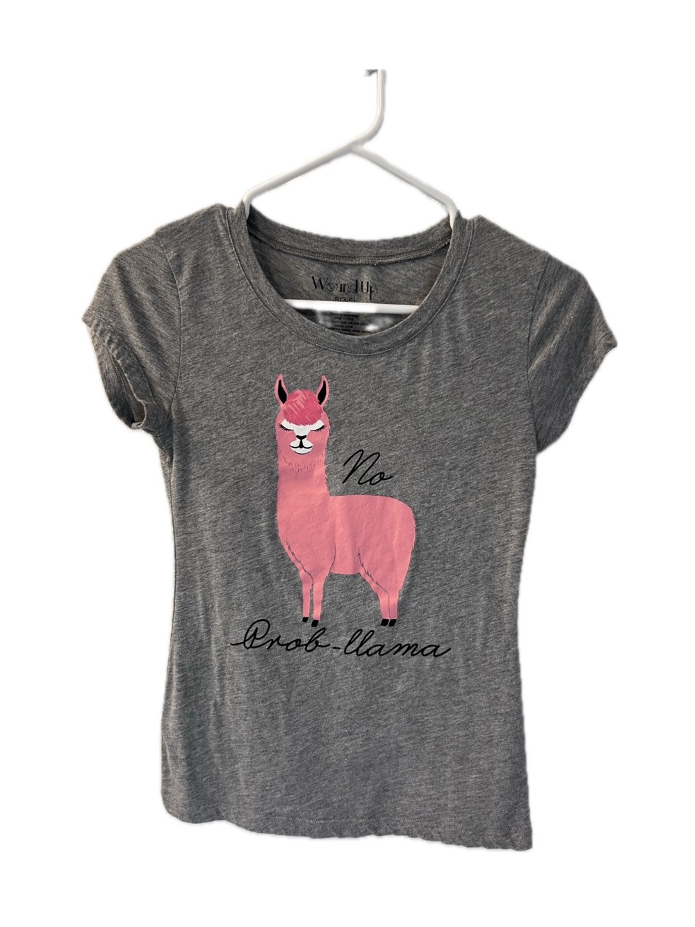 Wound Up Gray Tee with Pink Llama Graphic